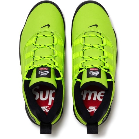 Supreme Supreme®/Nike SB Darwin Low - Green