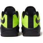 Supreme Supreme Nike SB Darwin Low (SS24) - Green