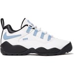 Supreme Supreme Nike SB Darwin Low (SS24) - White