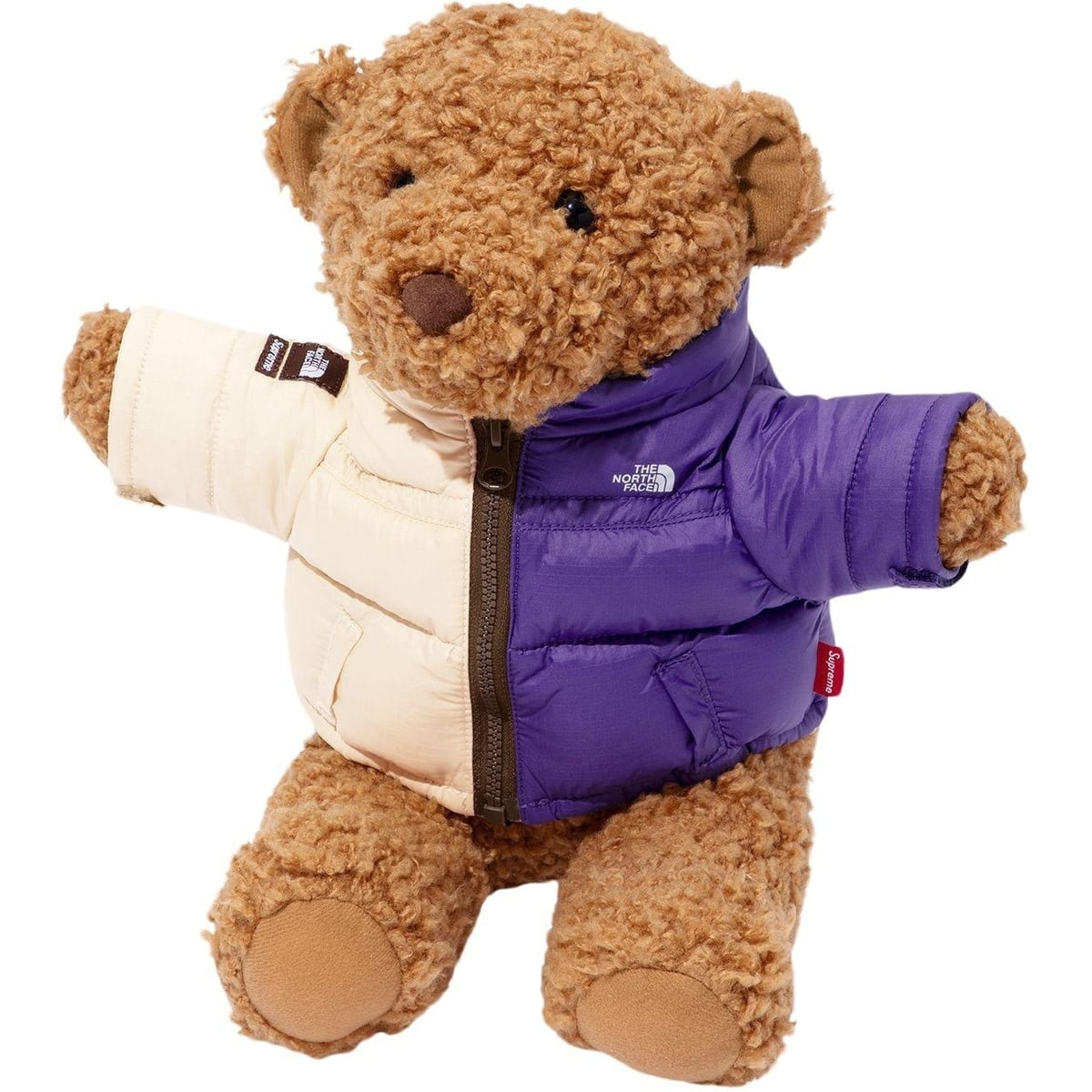 Supreme®/The North Face® Bear - SupremeCommunity