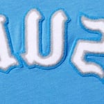 Supreme Brushed Arc S S Top (SS25) - Light Royal