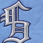 Supreme Multi S Logo Hooded Sweatshirt (SS25) - Light Blue