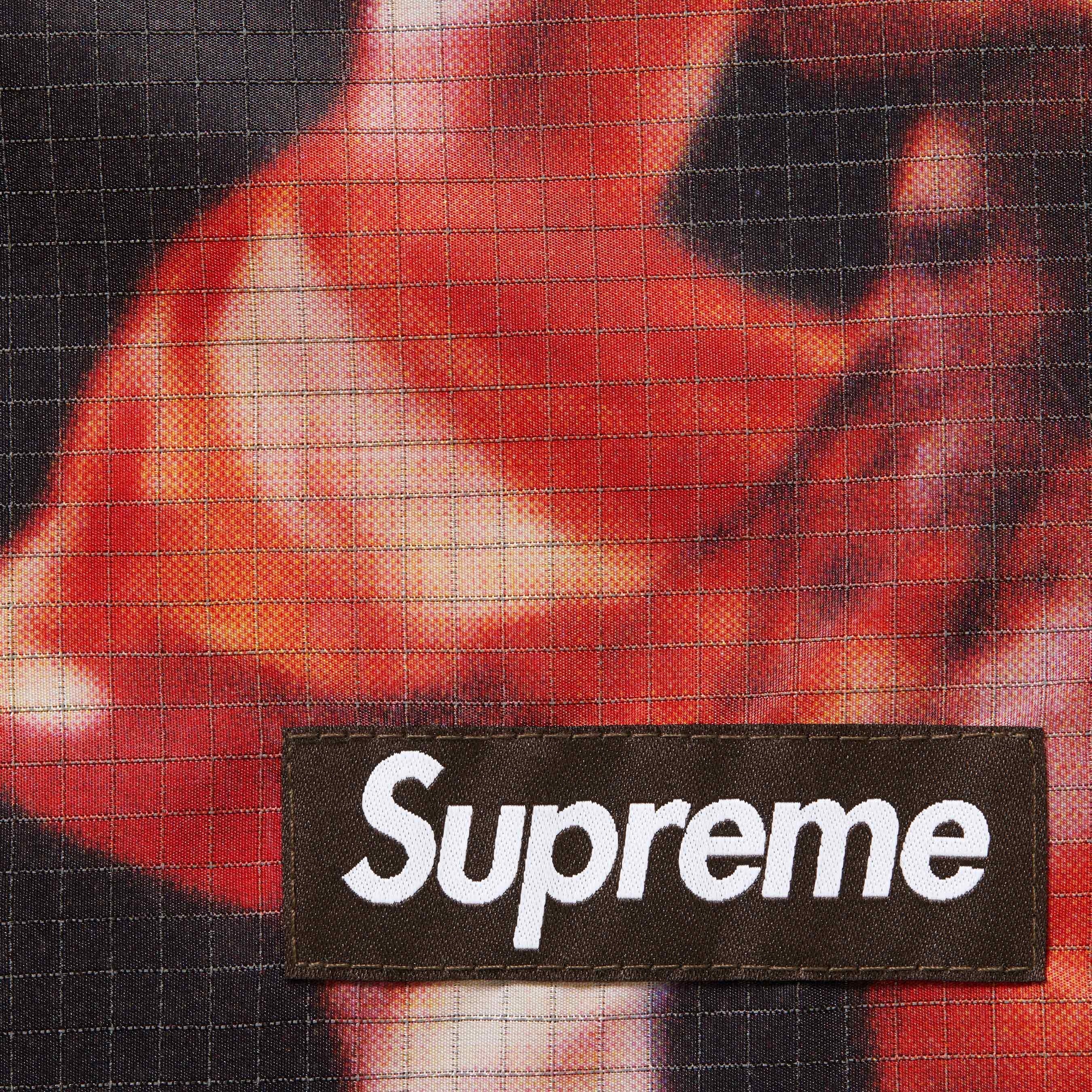 Supreme Reflective Ripstop Track Pant (SS25) - Multicolor - $168