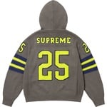 Supreme Sport Zip Up Hooded Sweater (SS25) - Grey
