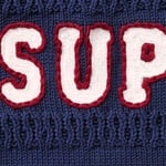 Supreme Sport Zip Up Hooded Sweater (SS25) - Navy
