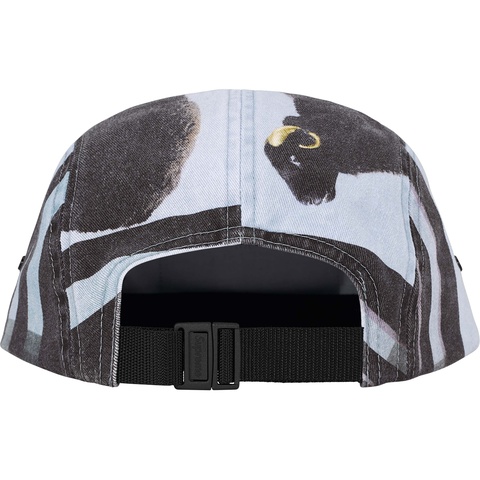 supremeシュプリーム Damien Hirst Camp Cap キャップ Spring/Summer 2025 Preview – Supreme