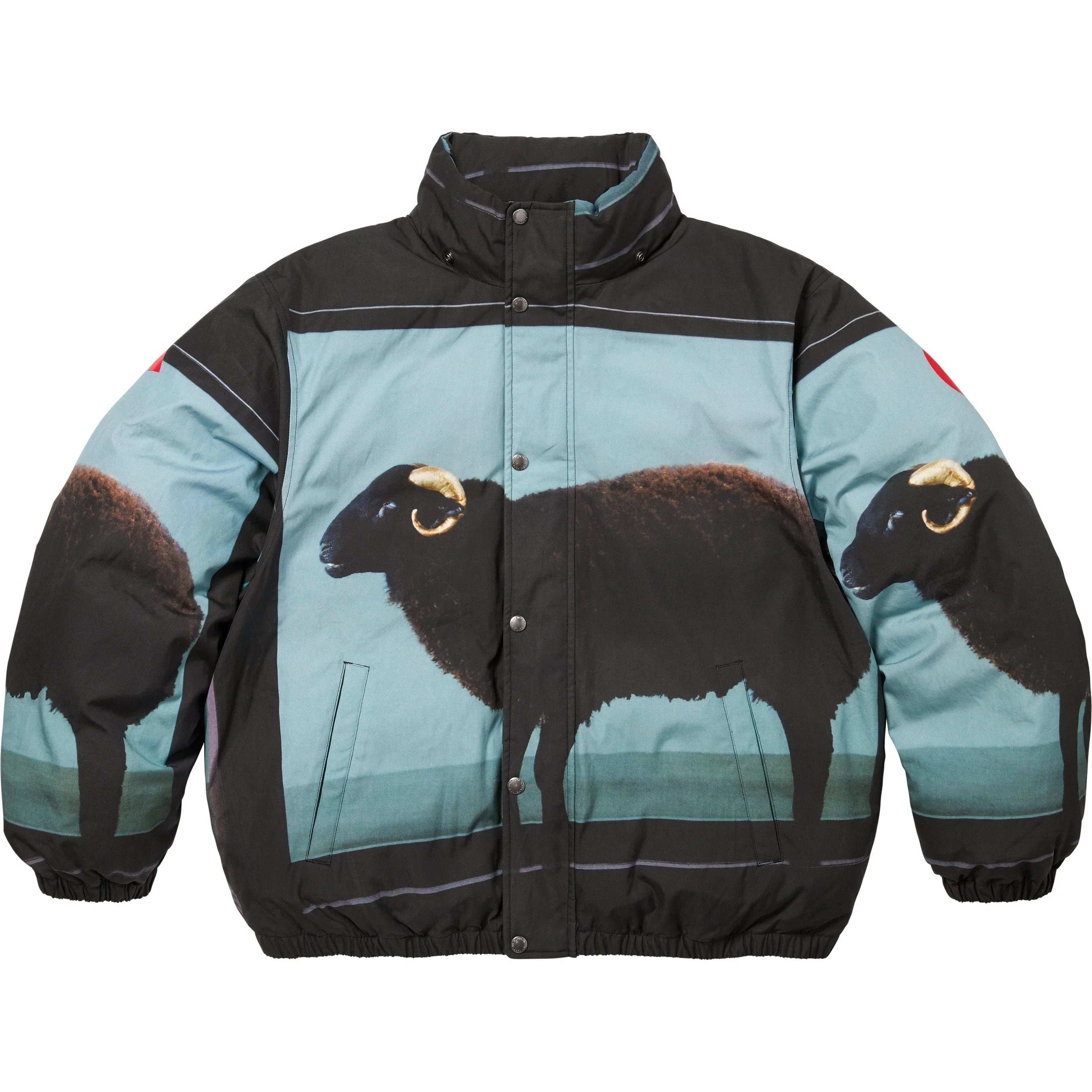 Supreme Supreme Damien Hirst Down Puffer Jacket (SS25) - Black - $488