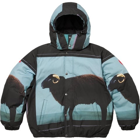 Supreme Supreme/Damien Hirst Down Puffer Jacket - Black