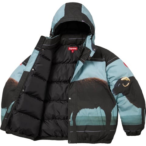 Supreme Supreme/Damien Hirst Down Puffer Jacket - Black