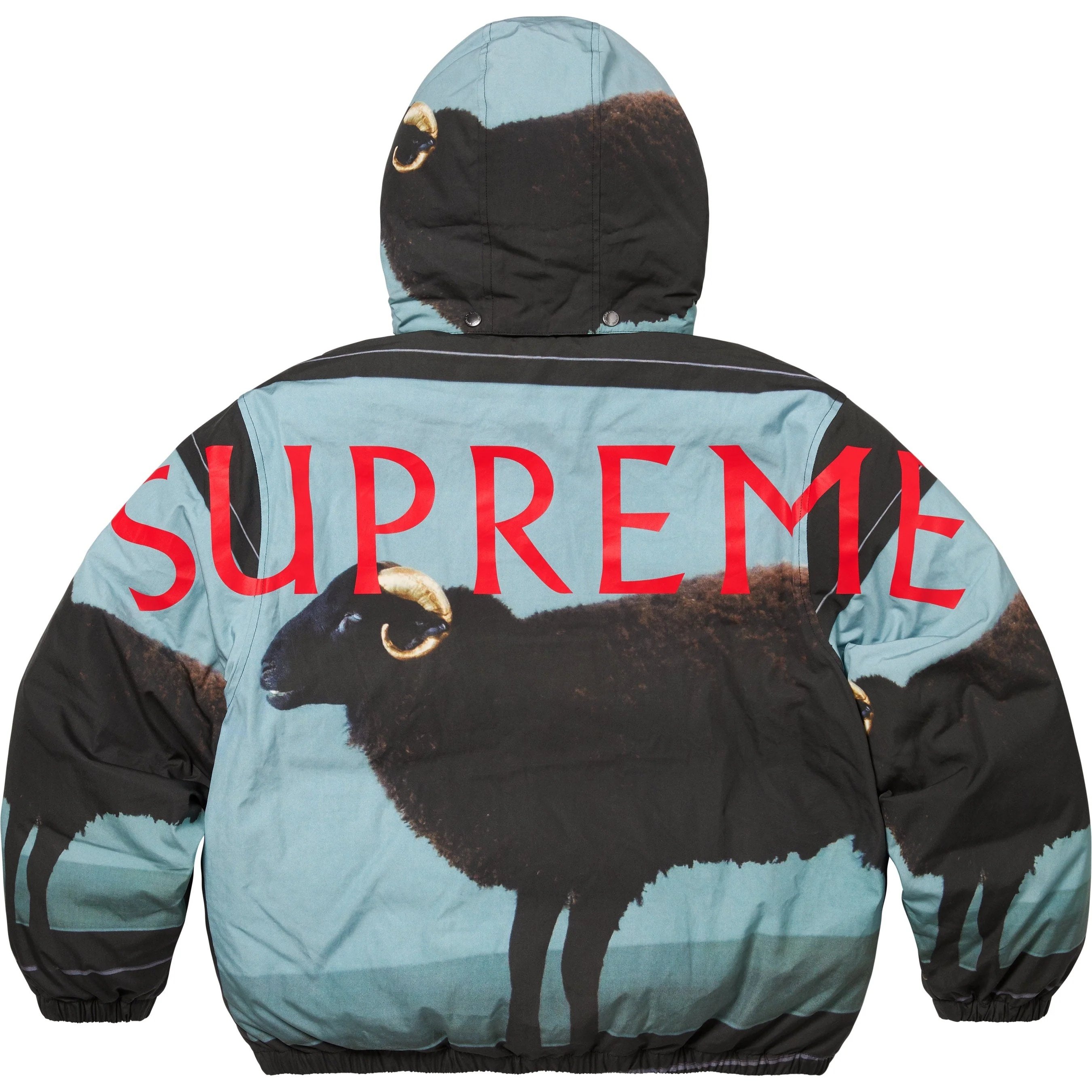 Supreme Damien Hirst Down Puffer Jacket (SS25) - $488