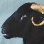 Supreme Supreme Damien Hirst Down Puffer Jacket (SS25) - Black