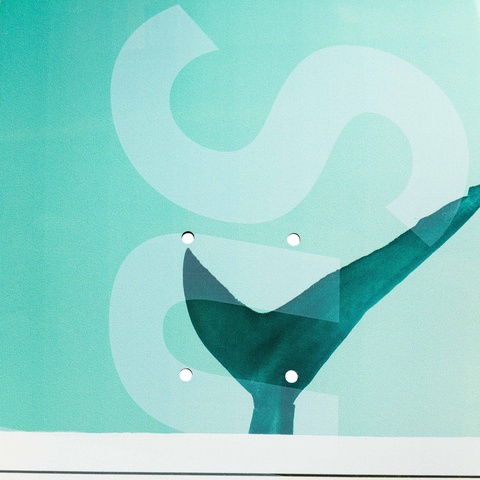 Supreme/Damien Hirst Shark Skateboard - Supreme