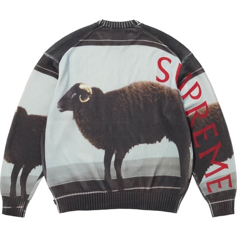 Supreme Supreme/Damien Hirst Sweater - Black