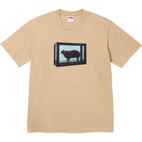 Supreme Supreme/Damien Hirst Tee - Khaki