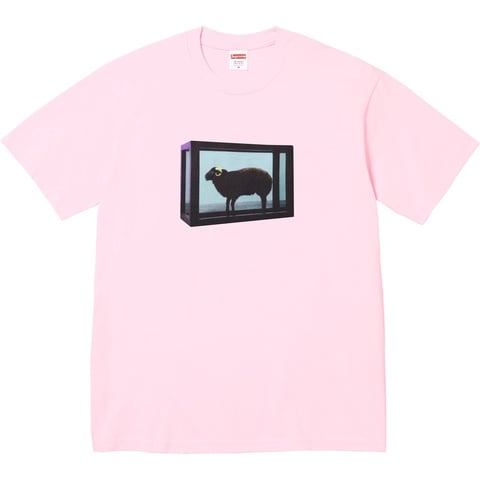 Supreme Supreme/Damien Hirst Tee - Light Pink