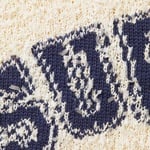 Supreme Textured Arc Sweater (SS25) - Cream