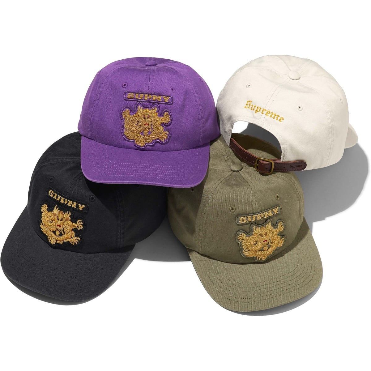 Bullion Dragon 6-Panel - SupremeCommunity