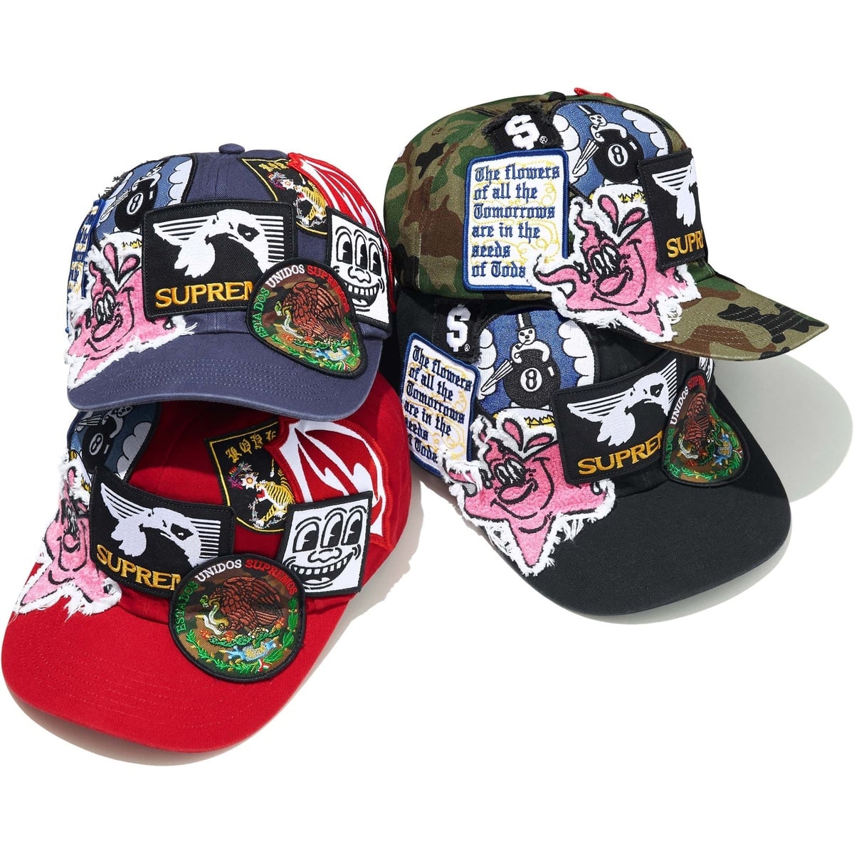 Patches 6-Panel - spring/summer 2025 - Supreme