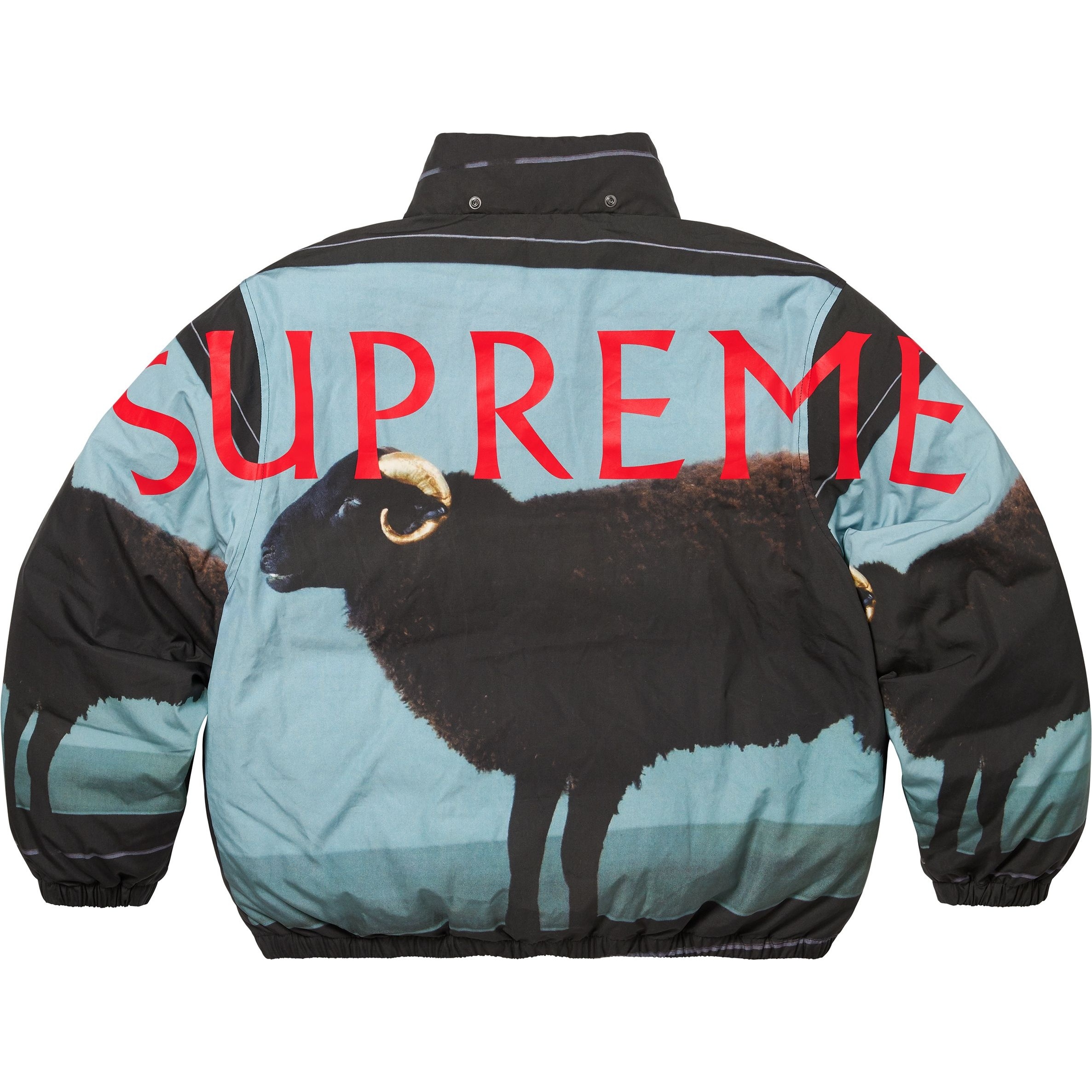 Supreme Supreme Damien Hirst Down Puffer Jacket (SS25) - Black - $488