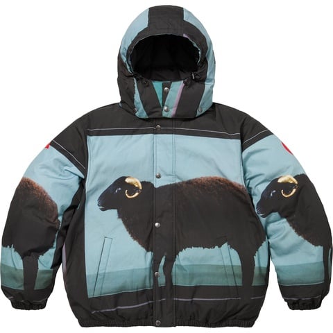 Supreme Supreme/Damien Hirst Down Puffer Jacket - Black