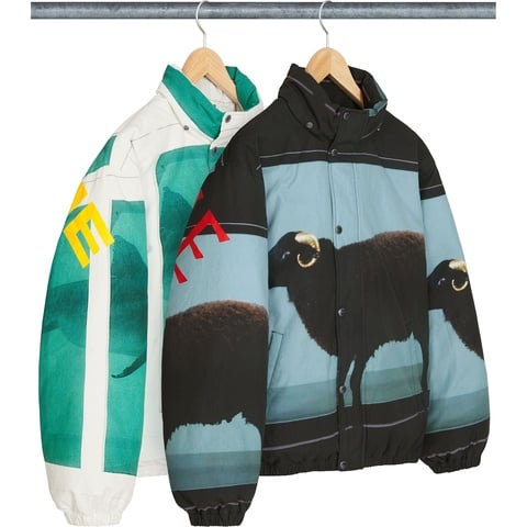 Supreme Supreme/Damien Hirst Down Puffer Jacket - $488.00