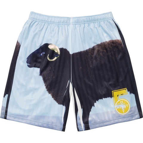 Supreme/Damien Hirst Soccer Short - Supreme