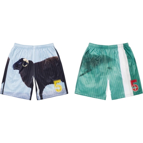 Supreme/Damien Hirst Soccer Short - Supreme