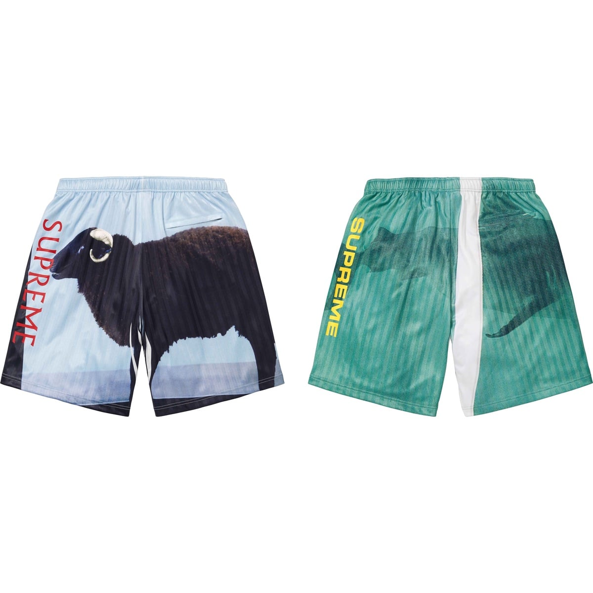 Supreme/Damien Hirst Soccer Short - SupremeCommunity