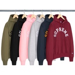 Supreme Champion Hooded Sweatshirt (SS25)