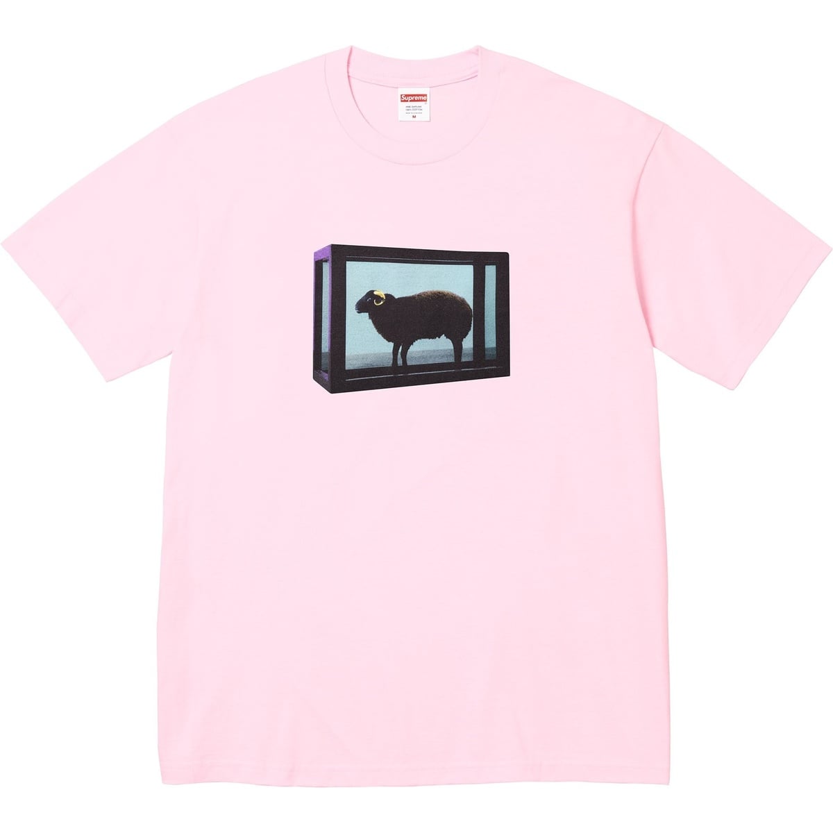 Supreme/Damien Hirst Tee - SupremeCommunity