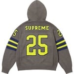 Supreme Sport Zip Up Hooded Sweater (SS25) - Grey