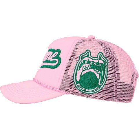 Supreme University Mesh Back 5-Panel - Pink