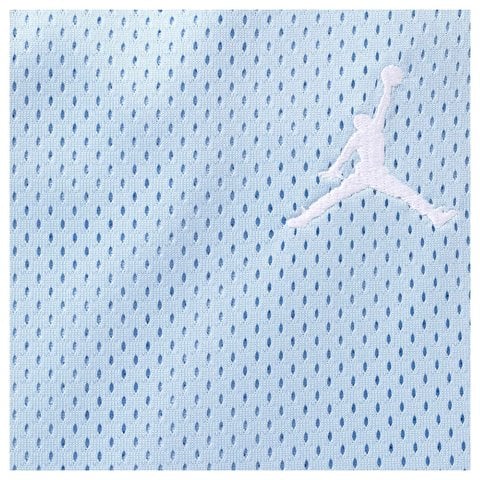 Supreme Supreme®/Jordan® Basketball Short - Light Blue