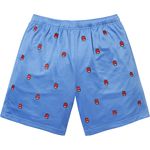 Supreme Supreme®/Spitfire® Mesh Short Light Blue