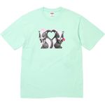 Supreme Skunk Tee Mint